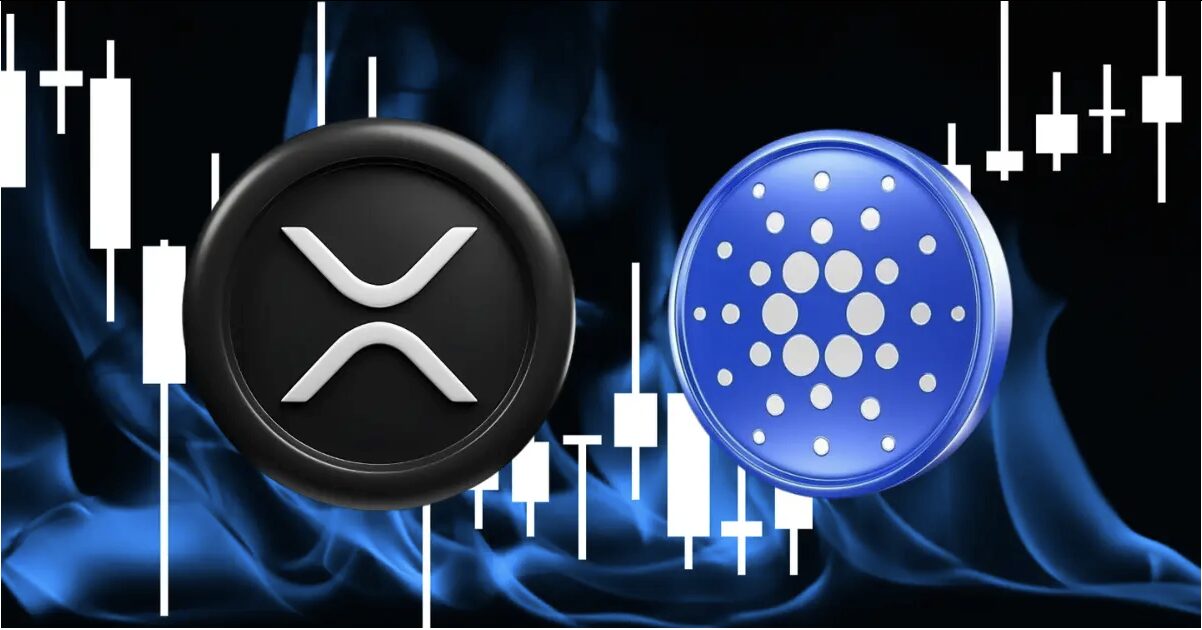 Ripple