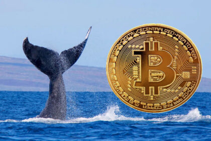 Billionaire Bitcoin (BTC) Whale Takes Action – Withdraws Huge Amount of Assets from Binance, Here are the Details