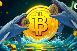 Bitcoin’s Getting New Big Players: Fresh Whales Amassing Millions