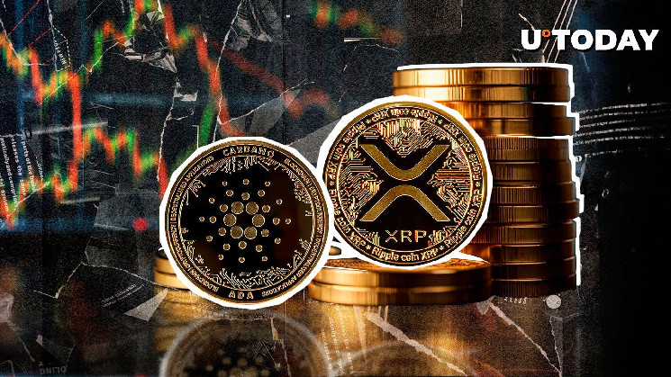 XRP and Cardano Communities Will Not Like This Strategic Reserve Nuance