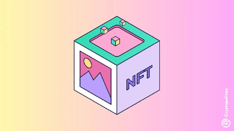 AI filters possibly made NFT collections obsolete