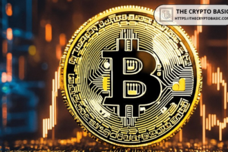 Bitcoin Overheating Phase Hits Bottom, Mirroring 2024 Pre-Blow-Off Top Setup: Details