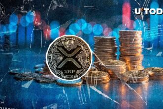 Massive $3 Billion XRP in 24 Hours: What's Going On?