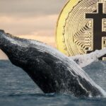 What Are Bitcoin (BTC) Whales Doing Right Now? In Previous Crises They Exited Before the Crash, Here’s What They’re Doing Now