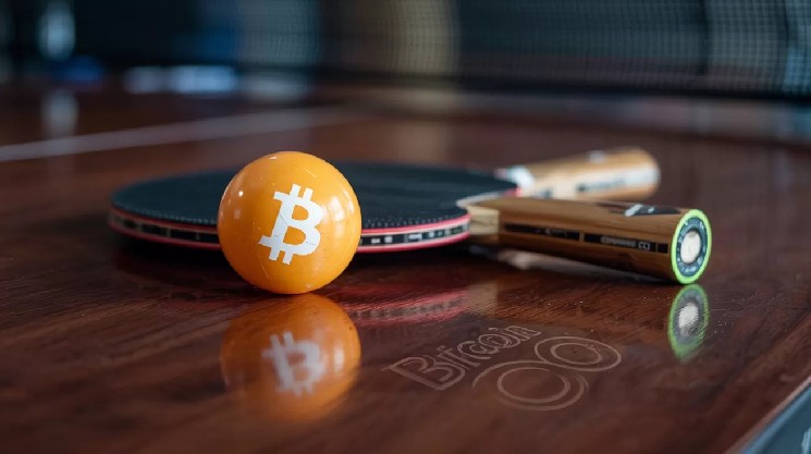 Bitcoin Could Ping-Pong Between These Two Prices, Two Analytics Firms Say, Unveiling the Big Whales’ Latest Moves