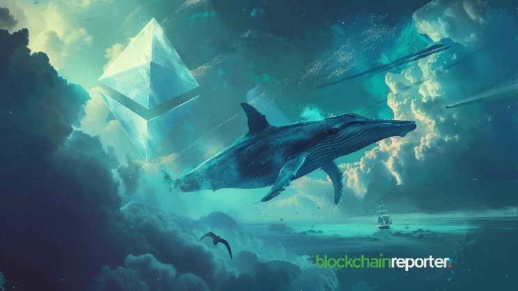Ethereum Whale Holdings Hit 9-Year High as Market Concentration Grows