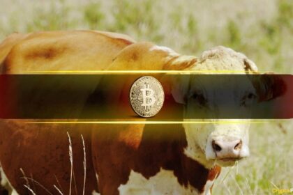 Current Bitcoin (BTC) Correction Fits Historical Mid-Cycle Reset Pattern Perfectly: Bitfinex