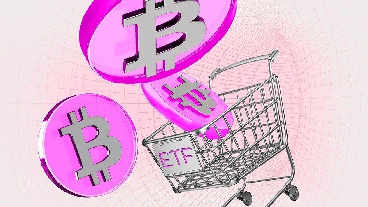 Bitcoin Funds Attract New Capital After 7-Day Lull