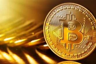 Bitcoin Whales Accumulate as Short-Term Holders Capitulate—What This Mean for BTC