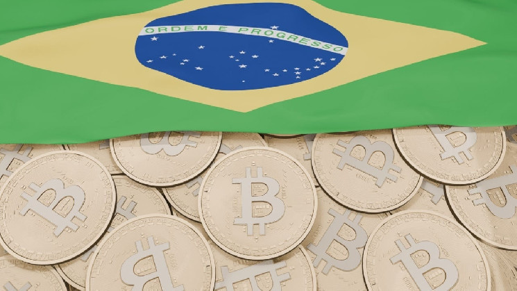 More Brazilians Invest in Cryptocurrency Than in Dollars, Gold and Stocks
