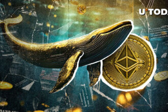 Ethereum (ETH) Whales Close to Liquidation, $238 Million to Be Erased