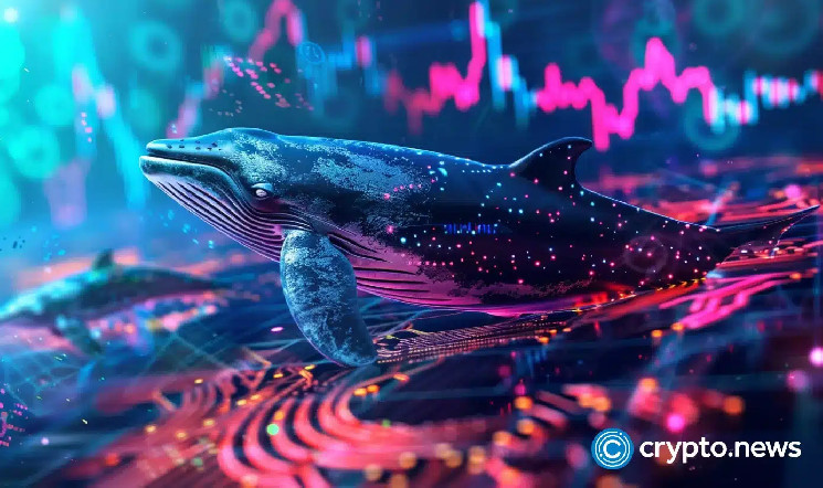 ETH whales buy more as Ethereum dominance falls to 8%