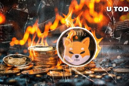 SHIB Burns Jump 984% But Here’s Big Negative Nuance