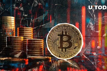 Bitcoin (BTC) Holders Still in Profit, Despite Short-Term Losses