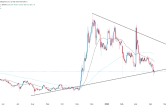 Cardano price