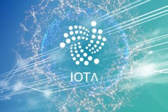 Enabling Institutional Access to IOTA and Beyond