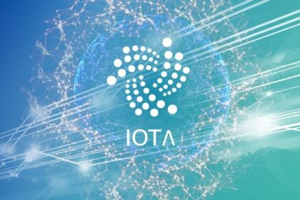 Enabling Institutional Access to IOTA and Beyond