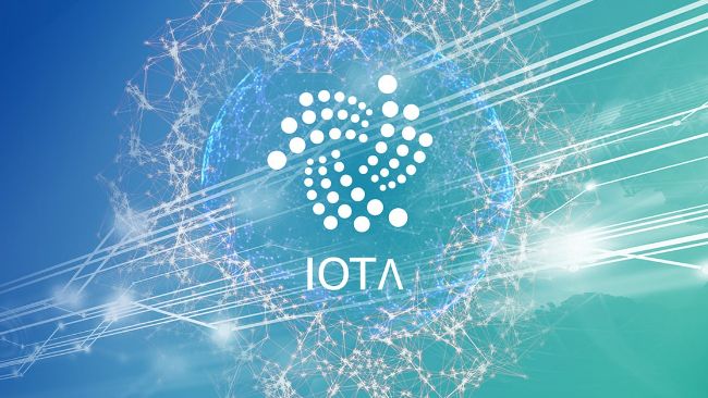 Enabling Institutional Access to IOTA and Beyond