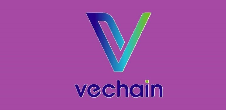 VeChain Is Building What Others Promise—Here Are 4 DApps That Show It