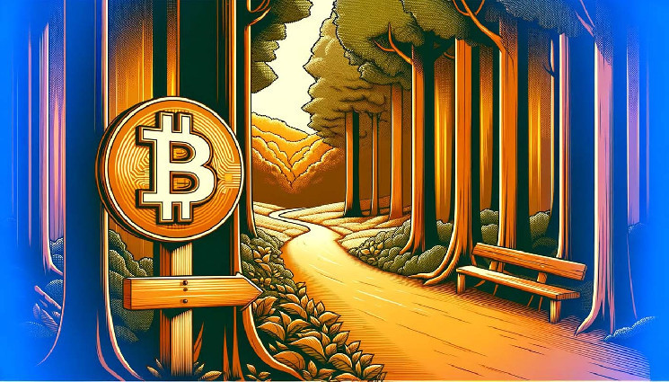 Trader Says a Move Up More Likely for Bitcoin As Indicators Remain Bullish – Here Are His Targets