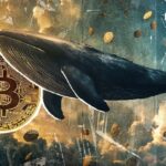 $32,917,434,000 Bitcoin Added by Long-Term Holders: $200K BTC In 2025?