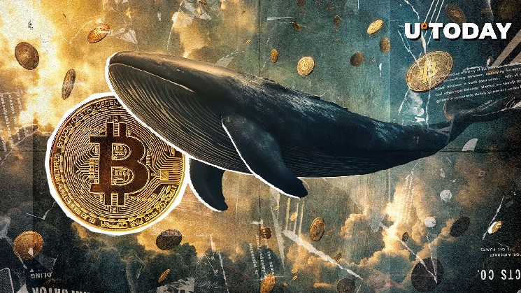 $32,917,434,000 Bitcoin Added by Long-Term Holders: $200K BTC In 2025?
