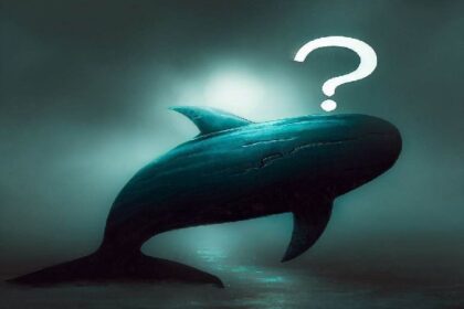 Altcoin Whales Have Been Active in the Last 24 Hours: Here Are Their Transactions
