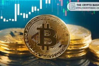 Market Veteran Raoul Pal Reveals Bitcoin Dominance Has Topped Out: Here’s What Comes Next