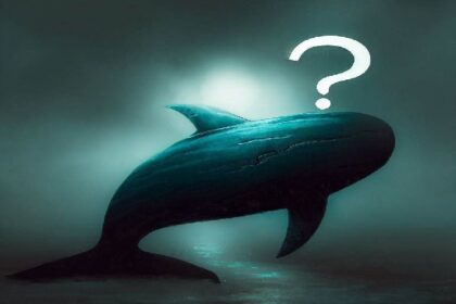 Big Whale Wallet Panic Sells Altcoin That Plunged Today: Suffers Heavy Losses