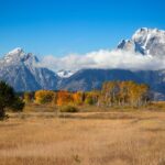 Wyoming Taps Inca Digital to Secure First State-Issued Stablecoin Ahead of July Launch