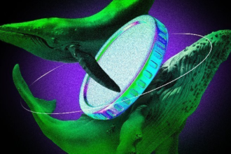 Crypto Whales Bought These Altcoins in the Fourth Week of May 2025