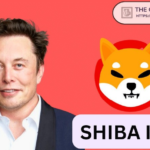 Here’s How High Shiba Inu Could Rise if Elon Musk Starts Promoting SHIB Like Dogecoin