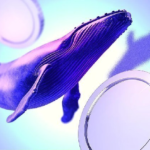 Crypto Whales Bought These Altcoins in the Second Week of May 2025