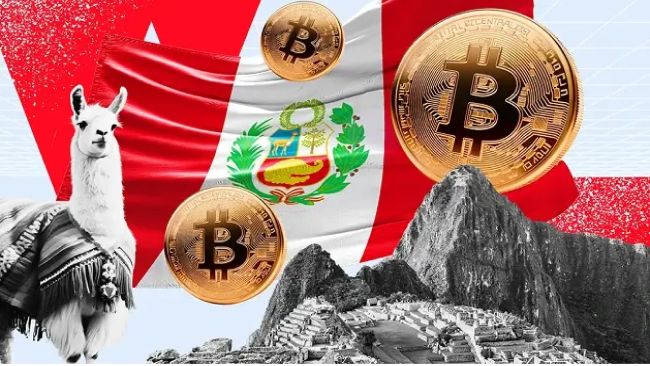 Lima Becomes Innovation Epicenter with Meta Pool and NTT Data Hackathon