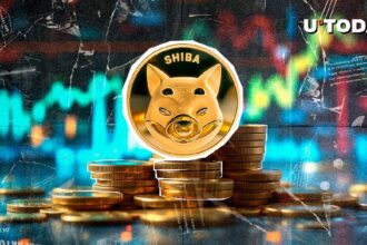 23,571,440 SHIB in One Go — What's Happening?