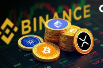 How It’s Dominating the Global Crypto Market