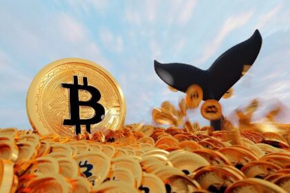 Whales Shift Positions in Bitcoin – Here’s the Level Analysts Say BTC Won’t Fall Below