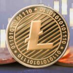 What Holder Data Says About Long Term Prospects