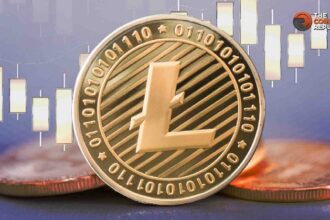 What Holder Data Says About Long Term Prospects