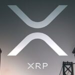 xrp sky