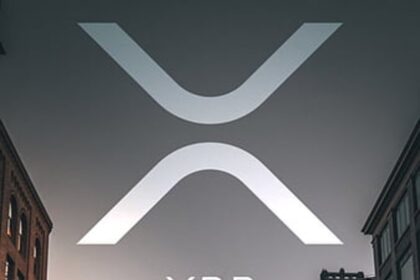 xrp sky