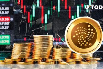 Major IOTA Moment Within 24 Hours