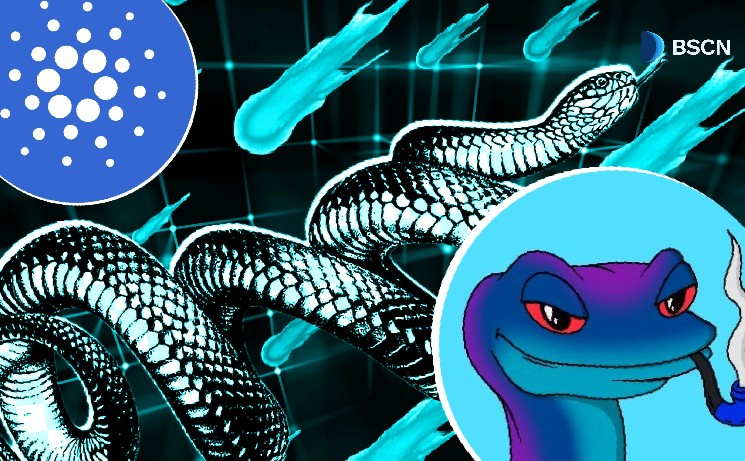 SNEK Decoded: Cardano’s Best Memecoin?
