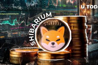 Shibarium's Big Block Breakthrough May Come This May