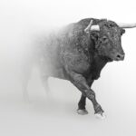 “In a Scenario Where Bitcoin Reaches $300,000, ETH…”