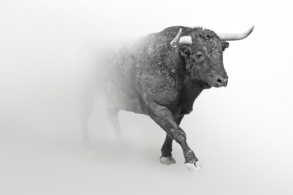 “In a Scenario Where Bitcoin Reaches $300,000, ETH…”