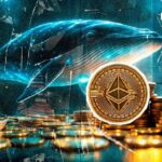 Ethereum Whales Are Back out of Nowhere