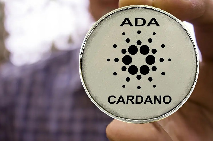 Cardano (ADA), Considered a Ghost Altcoin, Makes a Big Attack! It Left Ethereum Behind and Took the Top!