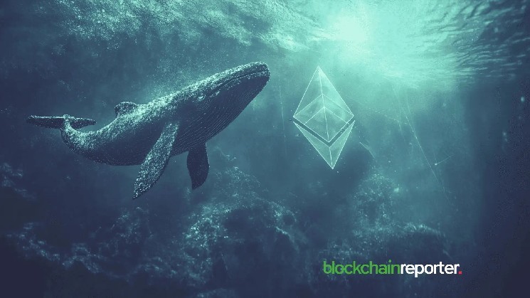 Whale Buys 27,632 ETH Worth $50.24 Million, Suggesting Ethereum Market Rally