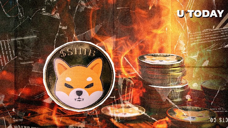 SHIB Burns Crash Despite Market Turning Green